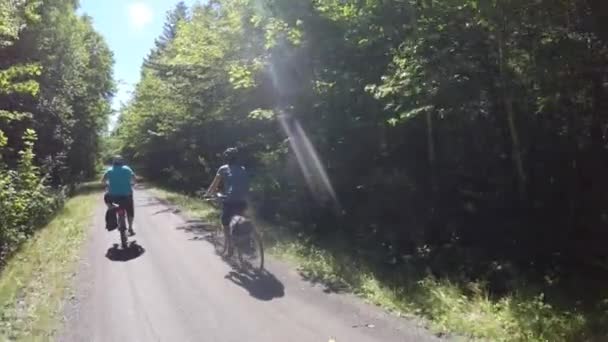 Kvinnor Ridning Cyklar Genom Vacker Grön Skog — Stockvideo