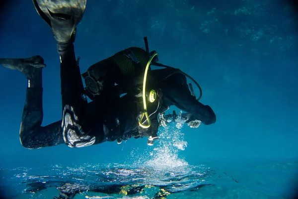 Dalgıç, deniz tarihi