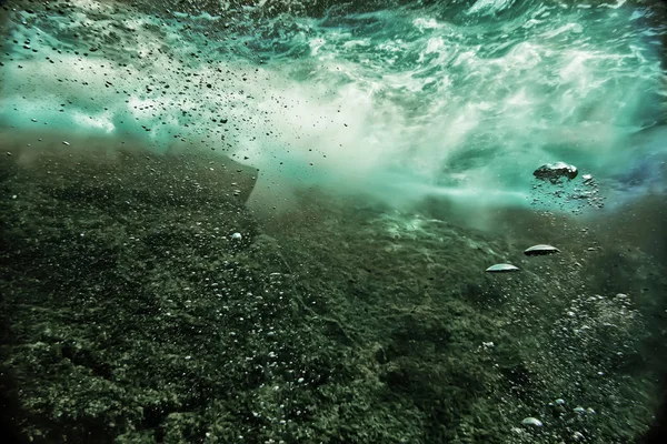 Sualtı dünyası - tanınmayan ve güzel