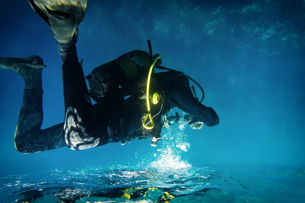 Dalgıç ve yansıma .