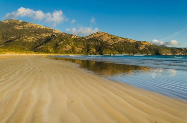 Norman Beach