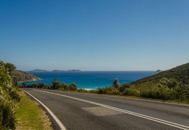 Yolda Wilson Promontory 