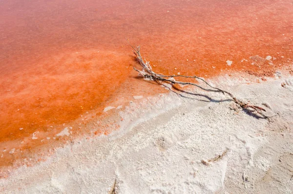 stock image Pink Lake, Dimboola,Australia