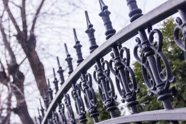 Siyah metalik sahte çit dikenli bahçesinde.