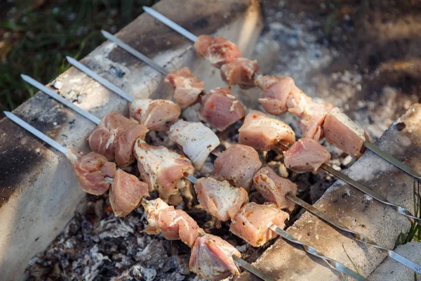 Smakelijke vlees barbecue stukken worden gekookt op hete kolen — Stockfoto