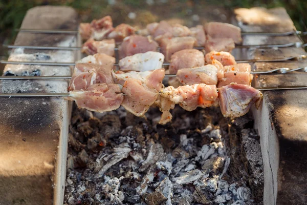 Smakelijke vlees barbecue stukken worden gekookt op hete kolen — Stockfoto