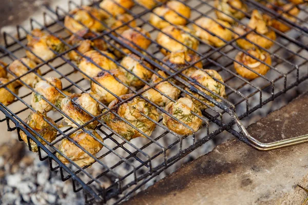 Heerlijke paddenstoelen zijn gekookt op een grill op hete kolen in een kamp — Stockfoto