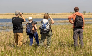 ornitologlar. vahşi doğa. kuşlar. insanlar