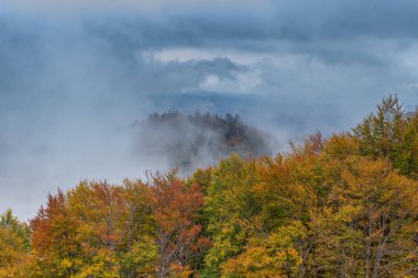 Dağlarda sonbahar, sonbaharın parlak renkleri, dağlarda sis.