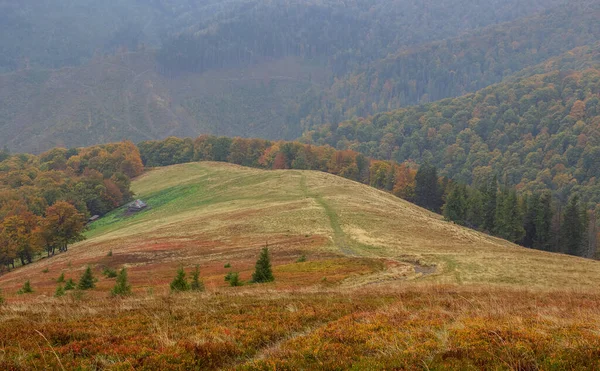 Pad Naar Verte Geruïneerd Huis Herfst Bergen — Stockfoto