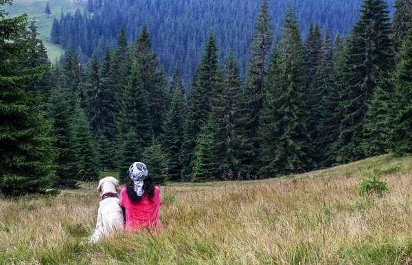 Doğada yalnızlık, bir köpekle yürüyüş, köpek gezgini