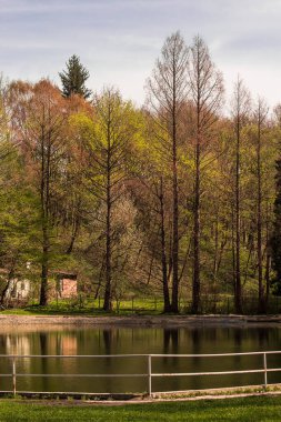 bahar parkı, güzel yeşil orman, gölü olan park, şehir parkı.