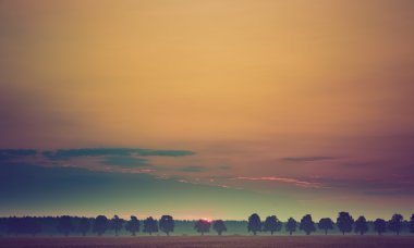 Yaz gündoğumu alanları üzerinde Vintage Fotoğraf 