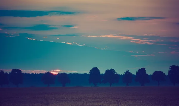 Vintage photo of summer sunrise over fields — Stock Photo, Image