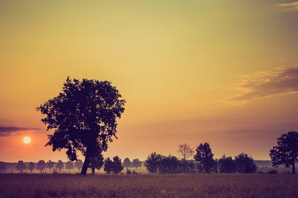 Jahrgangsfoto vom Sonnenaufgang über den Feldern — Stockfoto