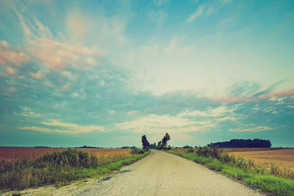 Vintage summer landscape with asphalt road on fields — Stock Photo, Image