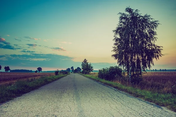 Paisaje de verano vintage con carretera de asfalto en los campos — Foto de Stock