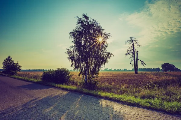 Vintage summer landscape with asphalt road on fields — Stock Photo, Image