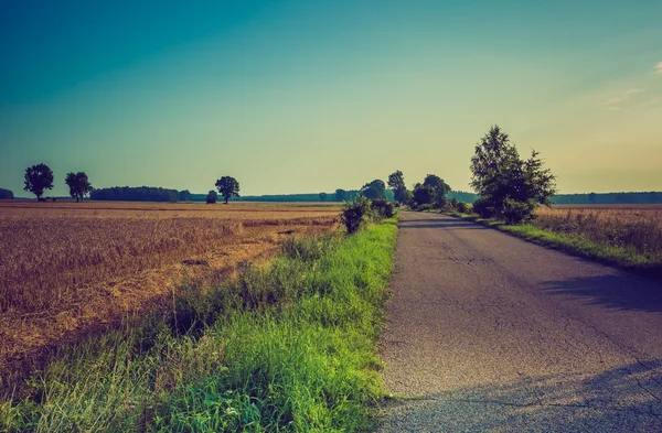 Vintage zomer landschap met asfaltweg op velden — Stockfoto