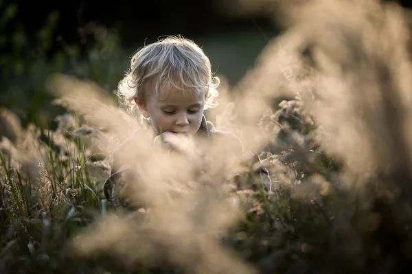Chłopiec grający odkryty w jesiennej scenerii. — Zdjęcie stockowe