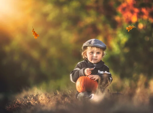Sonbahar sahne açık oynayan çocuk. — Stok fotoğraf