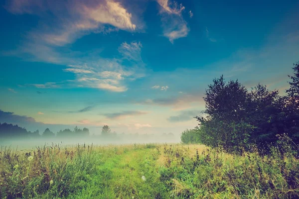 Vintage photo of wild foggy meadow landscape — Stock Photo, Image