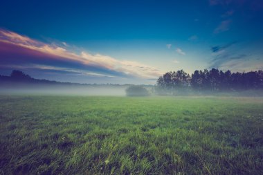 Vintage Fotoğraf vahşi sisli çayır peyzaj