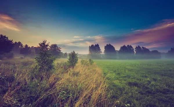 Vintage photo of wild foggy meadow landscape — Stock Photo, Image