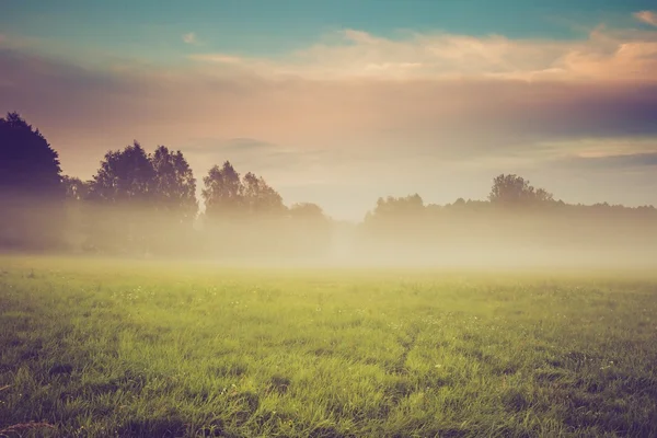 Vintage photo of wild foggy meadow landscape — Stock Photo, Image