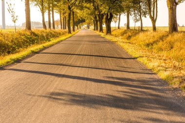 Asfalt yol Polonya Köyü.