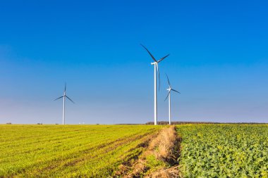 Bahar veya alanlar üzerinde yel değirmenleri ile sonbahar yatay