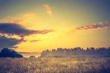 Sisli çayır ile canlı manzara Vintage Fotoğraf