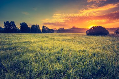 Sisli çayır ile canlı manzara Vintage Fotoğraf