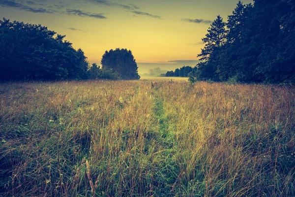 Винтажная фотография оживленного пейзажа с туманным мясом — стоковое фото