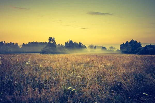 Photo vintage de paysage animé avec prairie brumeuse — Photo