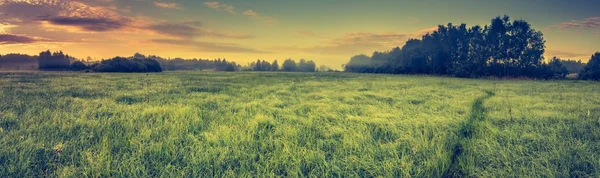 Foto vintage de paisaje vibrante con prado de niebla — Foto de Stock