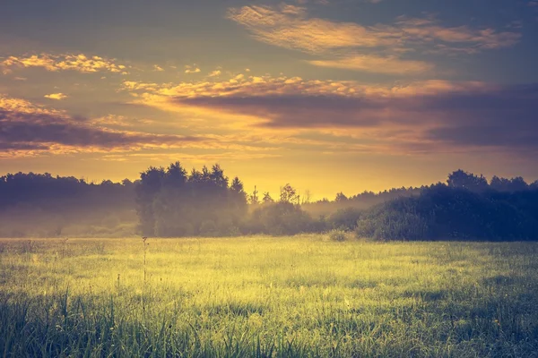 Foto vintage de paisagem vibrante com prado nebuloso — Fotografia de Stock