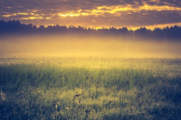 Vintage photo of vibrant landscape with foggy meadow — Stock Photo, Image