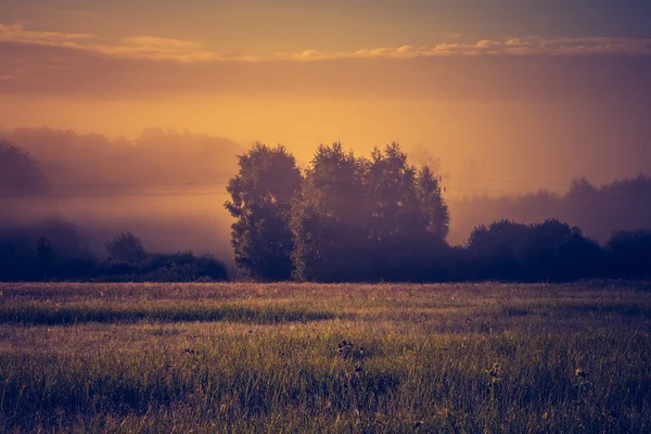 Vintage photo of vibrant landscape with foggy meadow — Stock Photo, Image