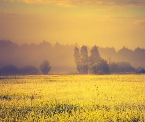 Vintage photo of vibrant landscape with foggy meadow — Stock Photo, Image