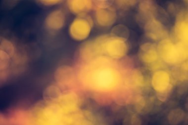 Vintage Fotoğraf renk doğa bokeh arka plan