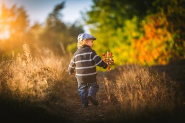 Güzel sonbahar sahne açık oynarken mutlu küçük çocuk