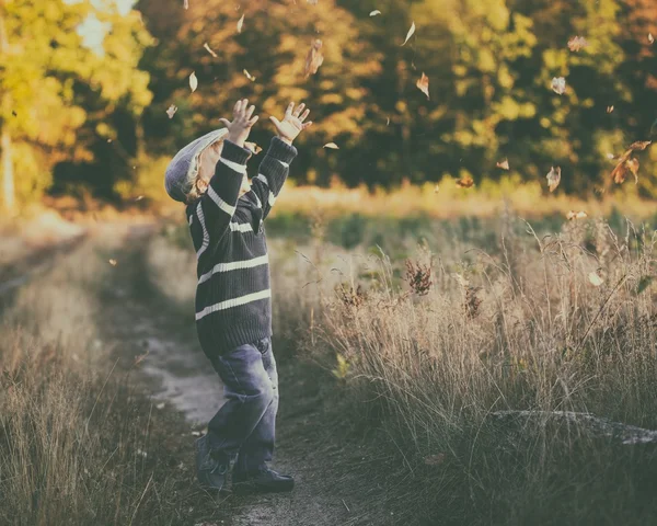 Joyeux petit garçon jouant en plein air dans de beaux paysages d'automne — Photo