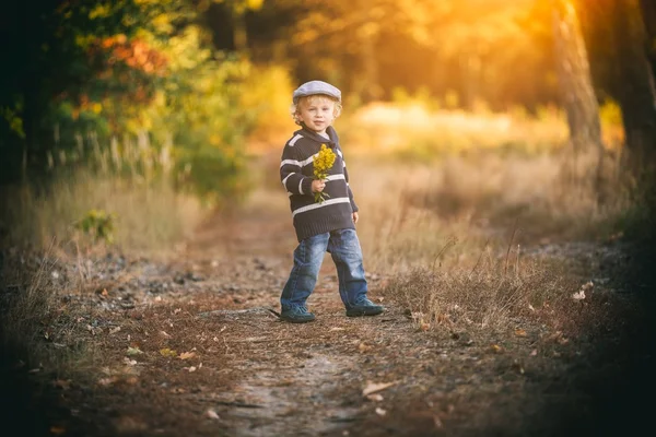Felice bambino che gioca all'aperto in un bellissimo paesaggio autunnale — Foto Stock