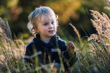 Güzel sonbahar sahne açık oynarken mutlu küçük çocuk