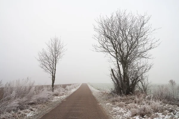 Tajemnicze mglisty zimowy krajobraz pole — Zdjęcie stockowe
