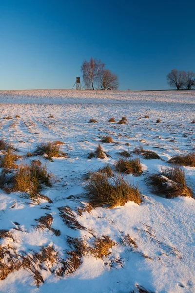 Hermoso paisaje de campo de invierno — Foto de Stock