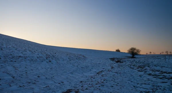 Bellissimo paesaggio campo invernale — Foto Stock