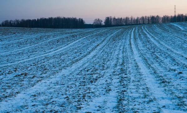 Piękny zimowy krajobraz pola — Zdjęcie stockowe