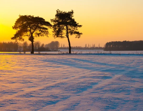 Mooie winterlandschap veld — Stockfoto